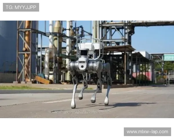 全球电竞格局重塑各大赛区新秀崛起掀起新一轮冠军争夺热潮