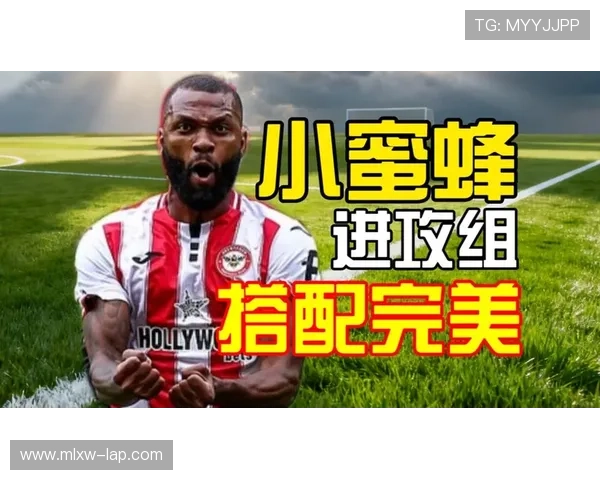 布伦特福德新赛季备战工作启动多名新援加盟增强阵容实力 布伦特福德新赛季备战工作启动多名新援加盟增强阵容实力