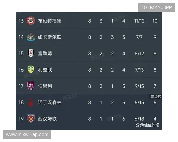 西汉姆联俱乐部发展历程及其在英超联赛中的崛起与挑战