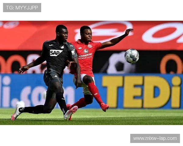 霍芬海姆1899俱乐部新赛季阵容调整与近期表现分析